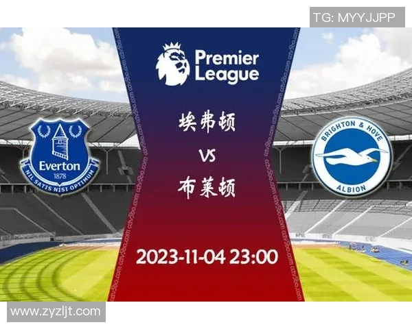 埃弗顿与布莱顿对决分析及比赛前景展望